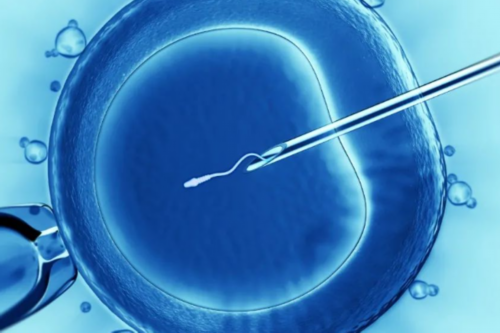 绝经了调回月经的方法,饮食+药物治疗助你心想事成