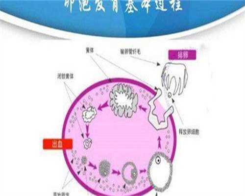 无锡试管助孕网,无锡可以做三代试管的医院哪里最好,无锡试管婴儿医院排名最