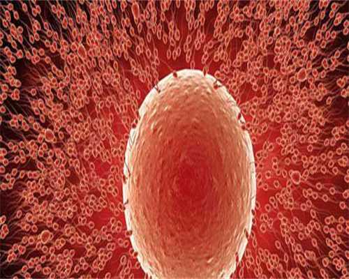 包头三代代生选择性别比二代代生选择性别贵多少钱?做第三代代生选择性别的