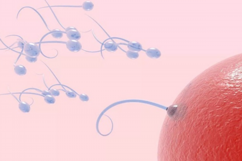 从促排到移植!梦美hrc哪有代生机构流程共7步