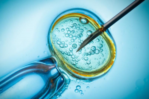 无锡做试管比较好的医院地址,首推这三家