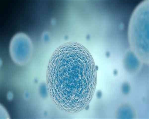 私立助孕医院:绝经后切除卵巢影响