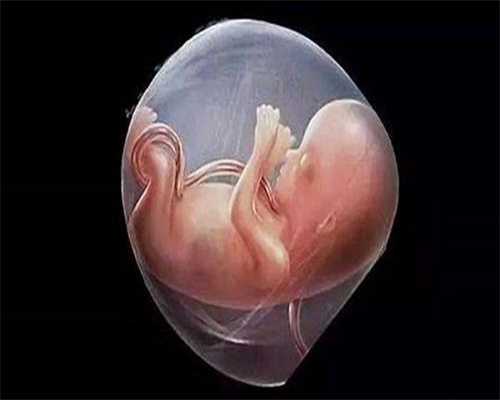 剖腹产后难怀孕原因