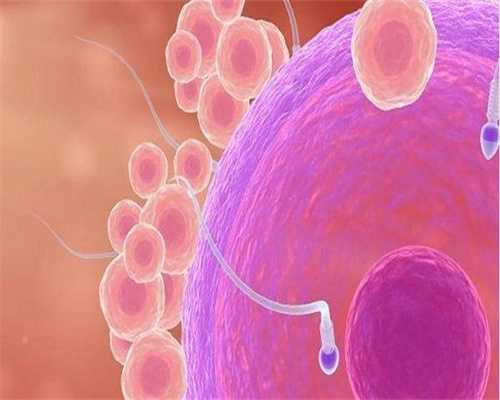 西宁代生男孩子费用医院能助孕,正规医院代生男孩子费用能选男女吗