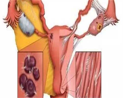 河南试管代怀网成功率比较高的私立机构