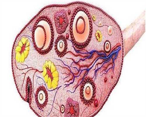 代孕找哪家医院好,避免染色体异常的孕检项目有哪些