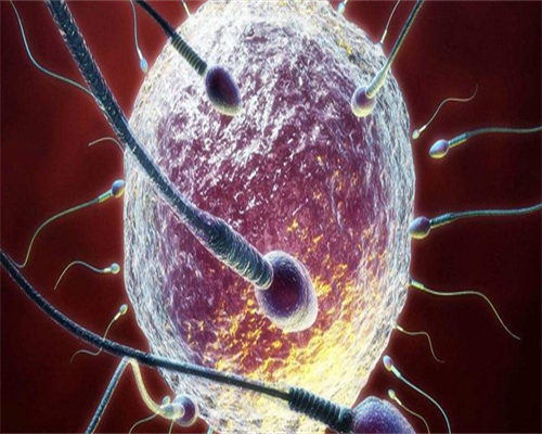 代孕包生男孩-囊胚第14天血值1388，囊胚第14天hcg正常值