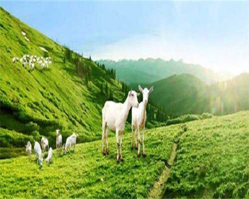 试管过度保胎费用多少合适