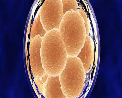 代生孩子服务：镇江试管婴儿费用多少钱？