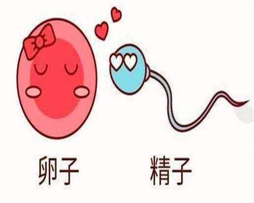 第二代代生那里最权威检查多少钱