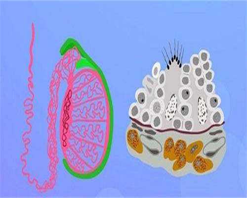 养囊第七天成功率是不是很小,真实翻盘案例并不少!