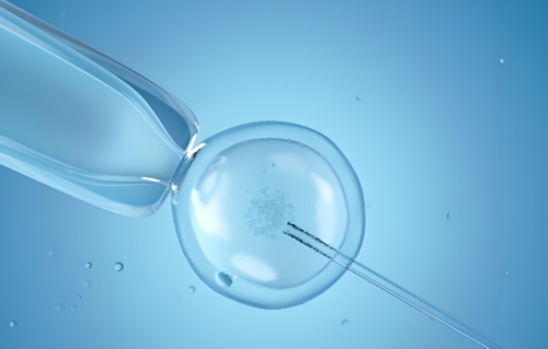 代妈应聘要求_国内代孕电话,怀孕之后孕激素低是什么原因导致的！怀孕激素低