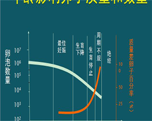 高龄产妇备孕注意事项高龄女人备孕注意事项
