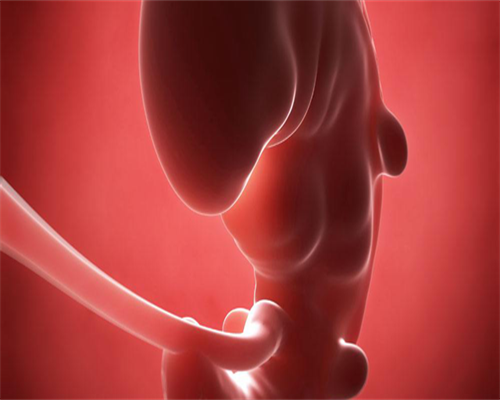 无锡试管婴儿私立医院哪家较好(2026试管机构名单参考)