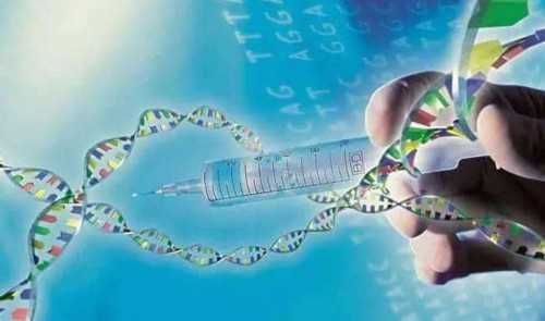 代孕产子服务-备孕三个月怎么还是没怀上