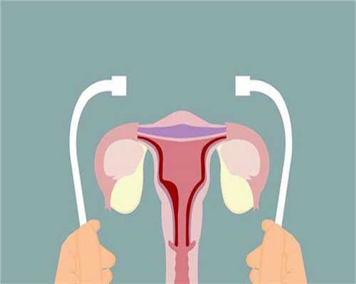 借卵湖南代生_试管代孕总费用,孕期无小事：卵黄囊形成到胎芽出现时间早了解