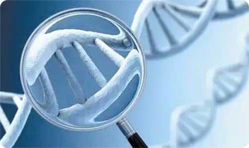 长沙私立供卵中心成功率高的医院排名一览，这几家机构靠谱