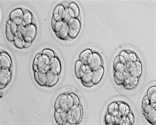 第三代试管收费标准有没有!让你少走弯路!