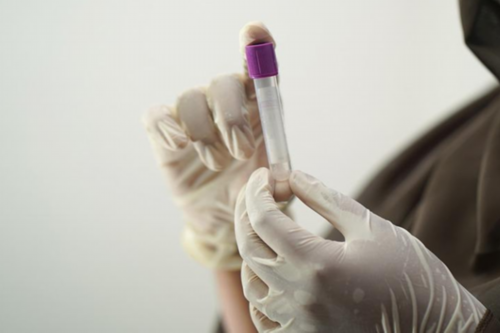 山东代生网站代怀龙凤胎套餐