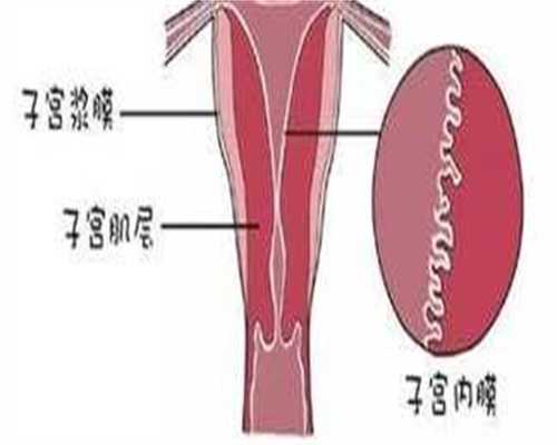 代生子生男孩-子宫内膜6cm回声欠均匀