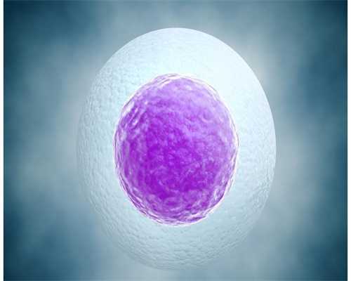 供卵产子公司-备孕期间，如何调理才能使身体保持在最佳状态？