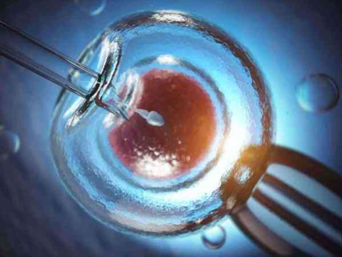 试管囊胚级别成功率排列表，让你轻松看懂4还是6开头的好！