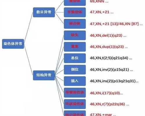 代生公司包生女孩三代为什么是空囊胚,三代代生公司包生女孩囊胚为什么胎停