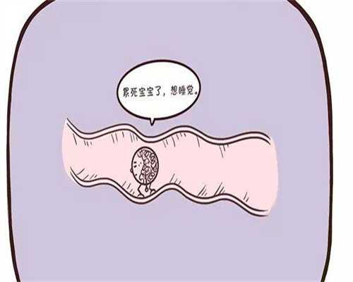 凉山做代生套餐大约要多少钱！促排卵痛苦吗？