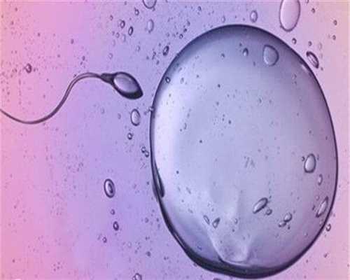试管供卵排名：优质胚胎是几级的_多少级才是优质胚胎