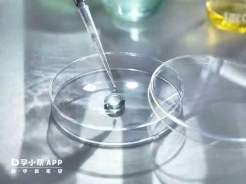 同济试管大概多少钱