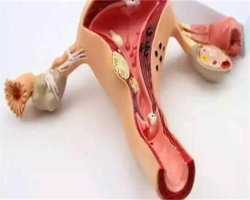 专业的海外代孕_代孕哪家更靠谱,胚胎移植|试管移植后第8天有强烈姨妈感着床