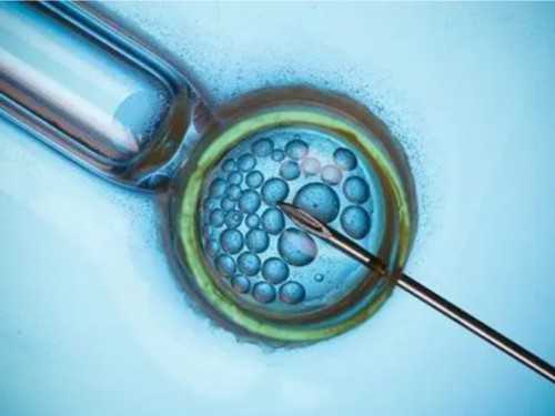 代孕供卵费用-月经第几天查内分泌最准确