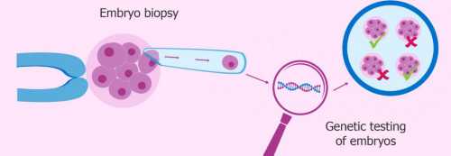 【卵泡生长慢】自然周期卵泡长得慢怎么办？