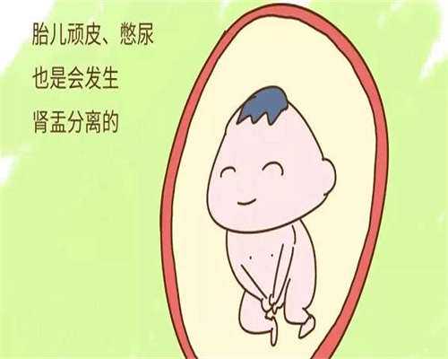 湖南和山西三代代生子合同哪个更好!附带代生子合同成功率!