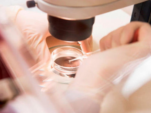 江苏助孕公司电话