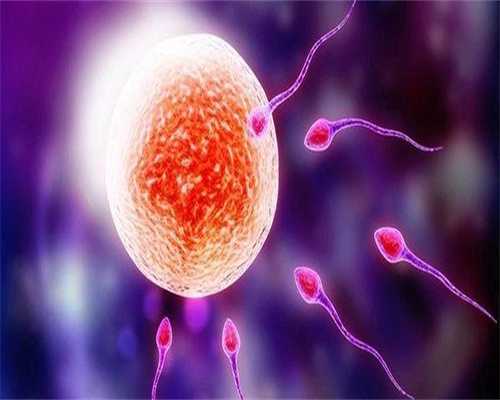 借卵需要流程:石斛_石斛的功效与作用_石斛种植方法