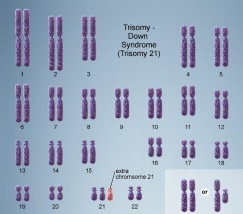 子宫肌瘤能不能做代生女孩产子价格,促排卵会导致肌瘤增大吗?